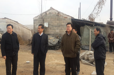 抖圈-为du而生官网入口