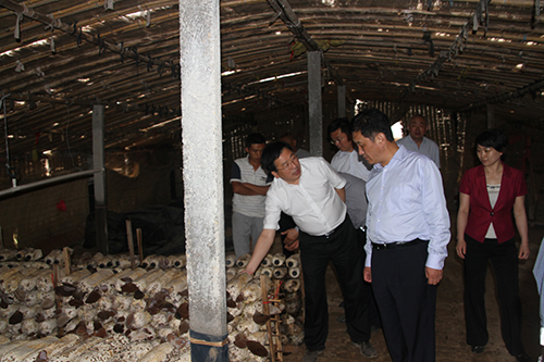 抖圈-为du而生官网入口